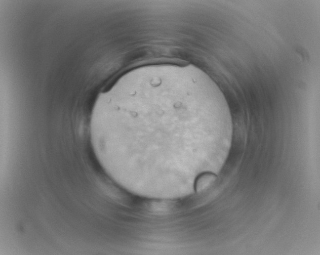 X0000115030134200911231120