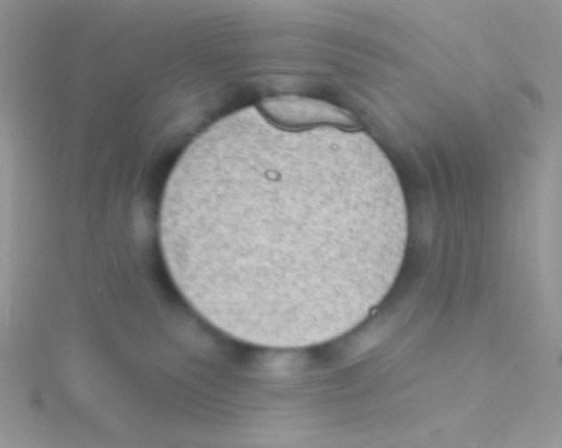 X0000115030135200911231120