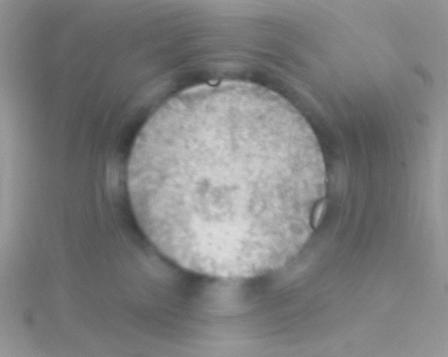 X0000115030138200911231120