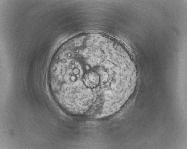 X0000115030145200911231119