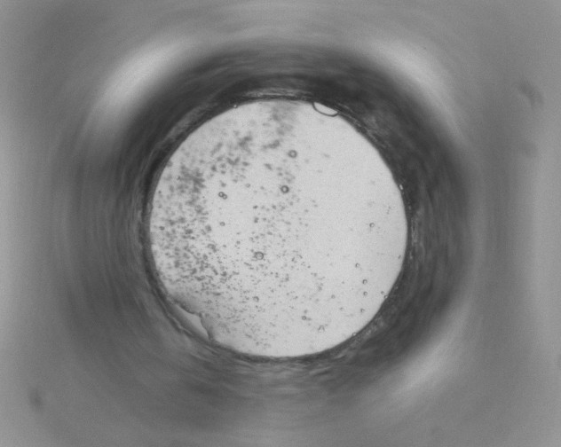 X0000115030146200911231119