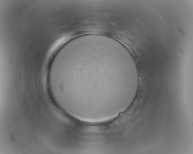 X0000115030149200911231119