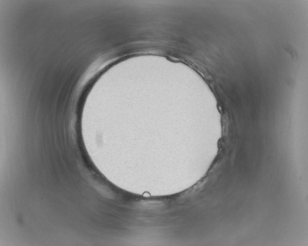 X0000115030150200911231119