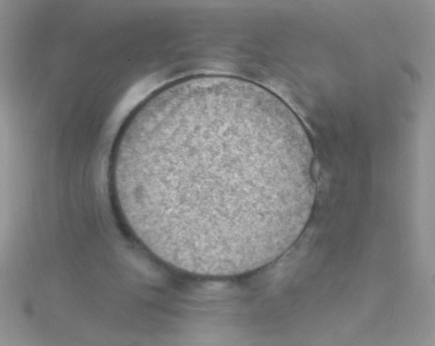 X0000115030151200911231119