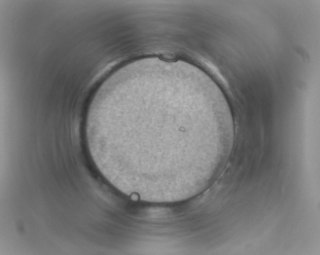 X0000115030154200911231119