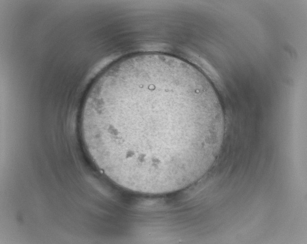 X0000115030155200911231119