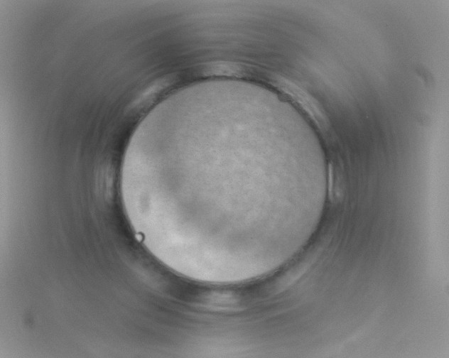 X0000115030157200911231119