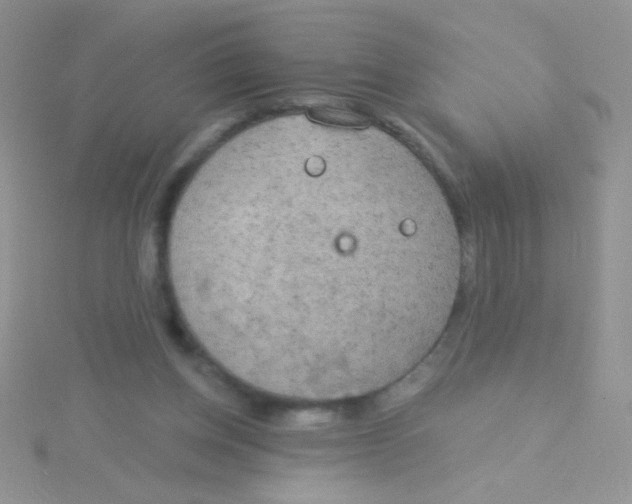 X0000115030158200911231119