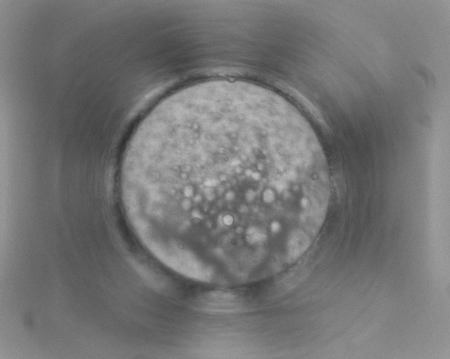 X0000115030159200911231119