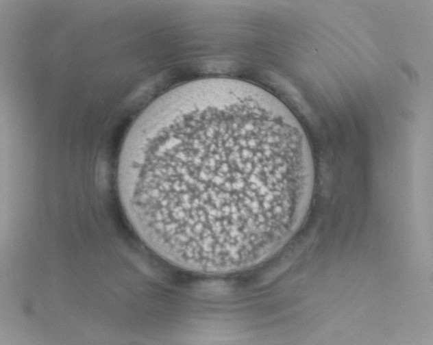 X0000115030161200911231119