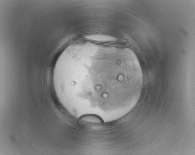 X0000115030163200911231119