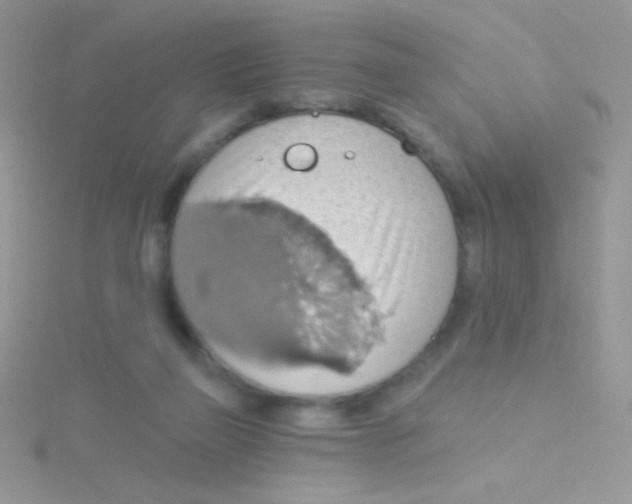 X0000115030165200911231119