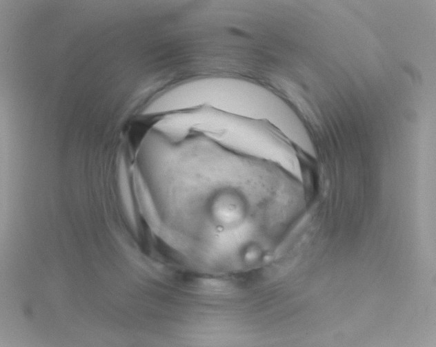 X0000115030167200911231119