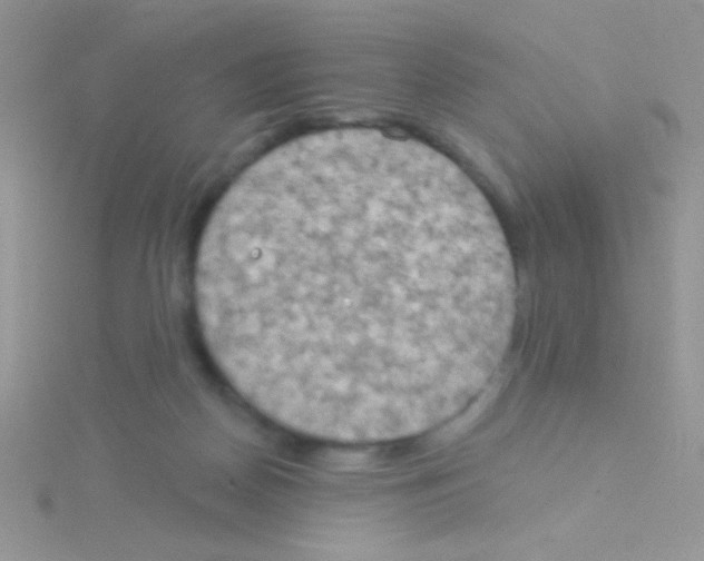 X0000115030170200911231119