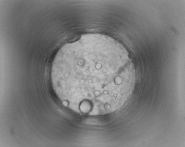 X0000115030171200911231120