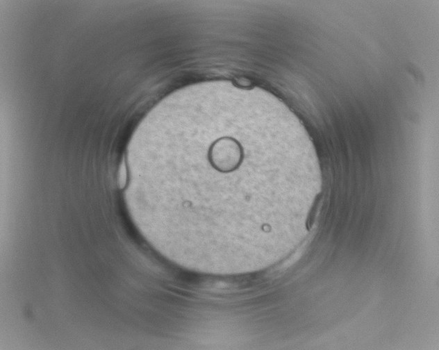 X0000115030174200911231120