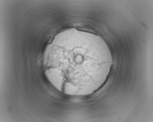 X0000115030175200911231120