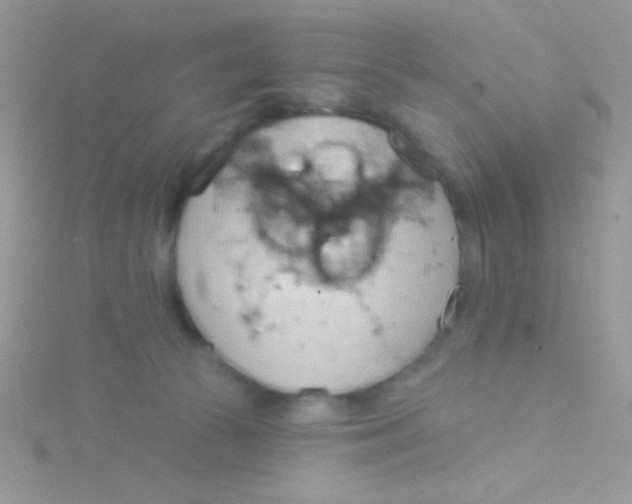 X0000115030177200911231120