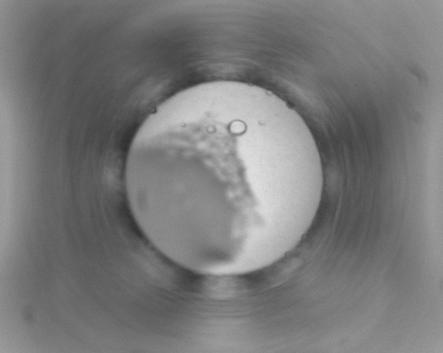 X0000115030181200911231120