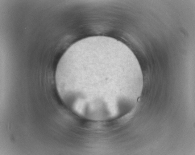 X0000115030182200911231120