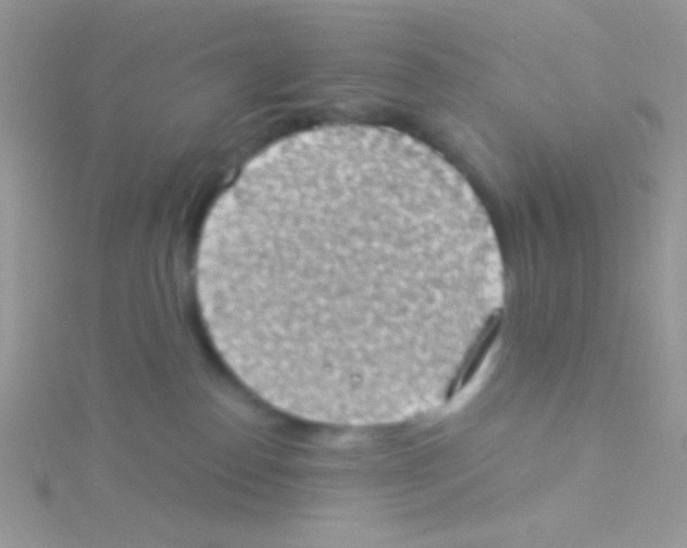 X0000115030186200911231120