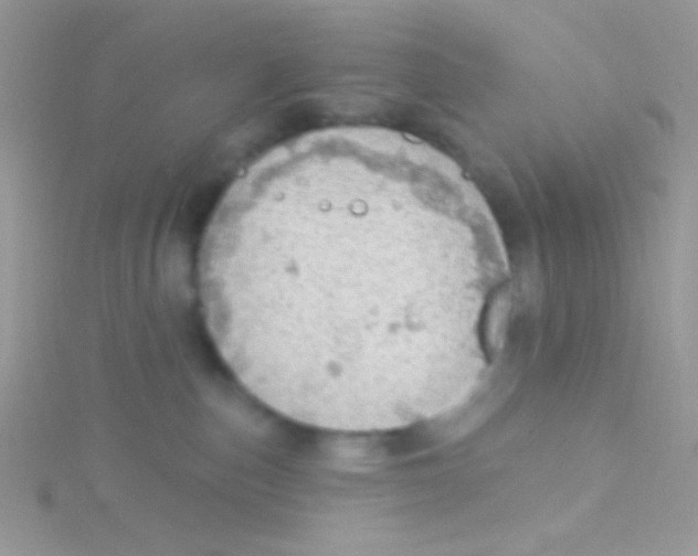 X0000115030187200911231120