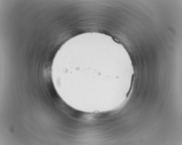 X0000115030190200911231120