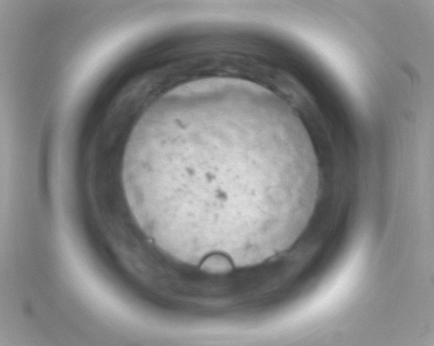 X0000115030191200911231120