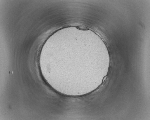 X0000115030193200911231119