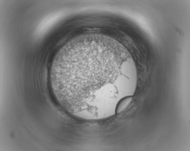 X0000115030194200911231119