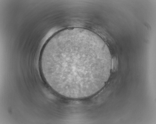 X0000115030195200911231119