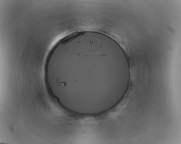 X0000115030196200911231119