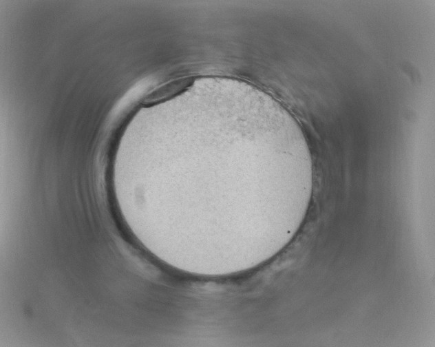 X0000115030197200911231119