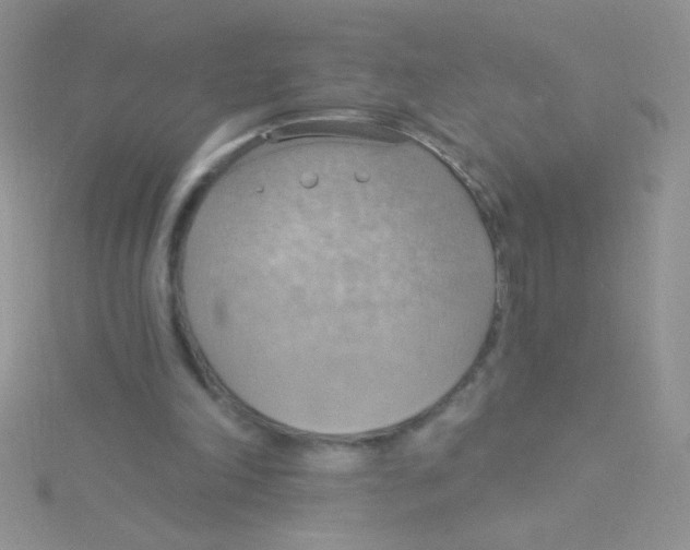 X0000115030198200911231119