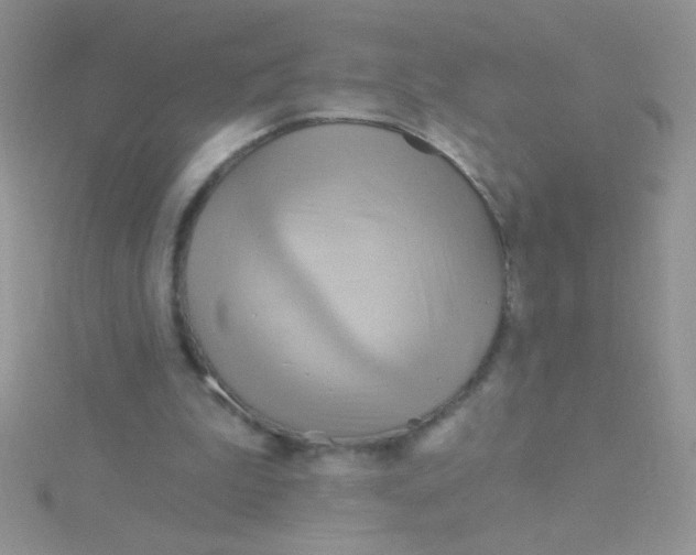 X0000115030199200911231119