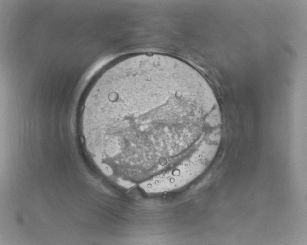 X0000115030200200911231119