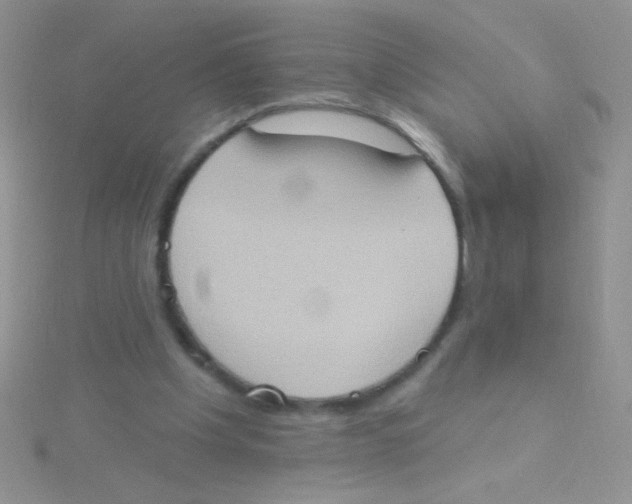 X0000115030201200911231119