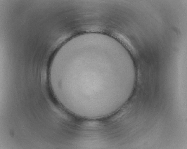 X0000115030202200911231119