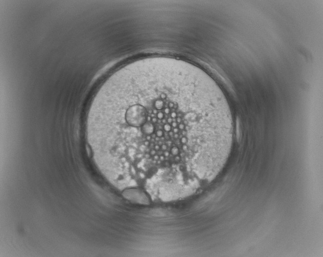 X0000115030204200911231119