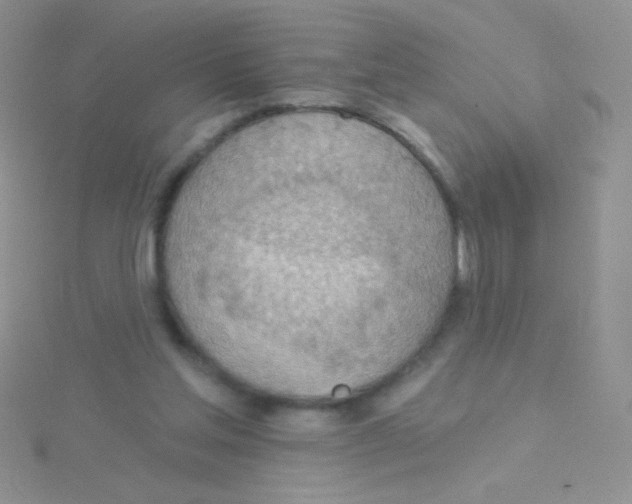 X0000115030205200911231119