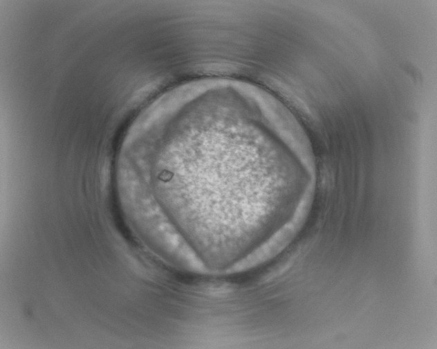 X0000115030206200911231119