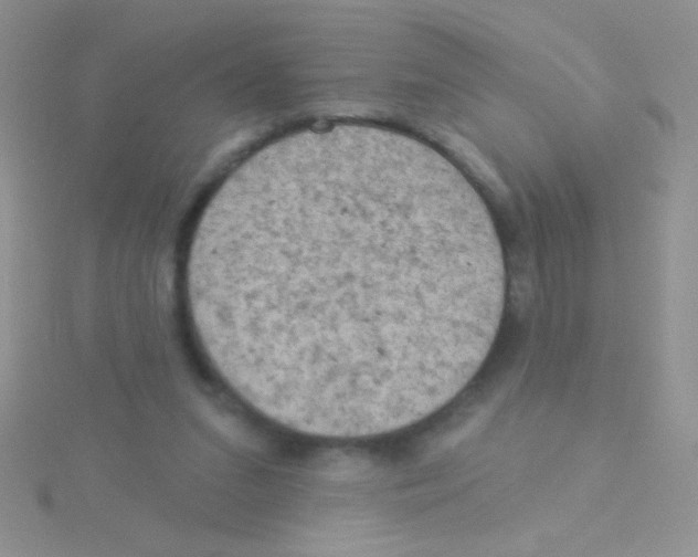 X0000115030207200911231119