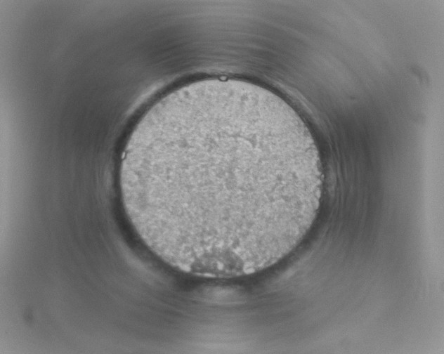 X0000115030208200911231119