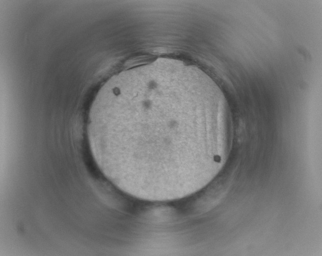 X0000115030210200911231119