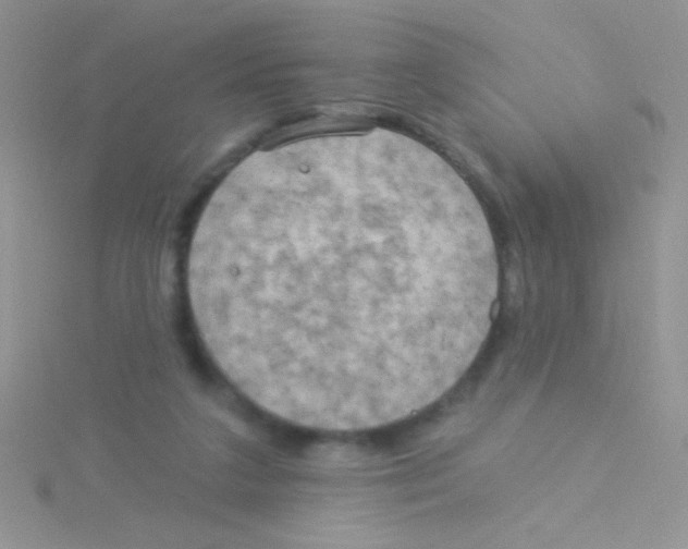 X0000115030211200911231119