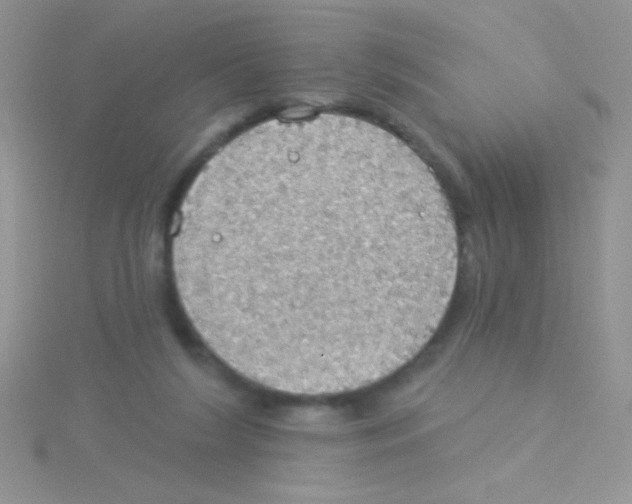 X0000115030212200911231119