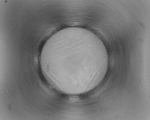 X0000115030214200911231119