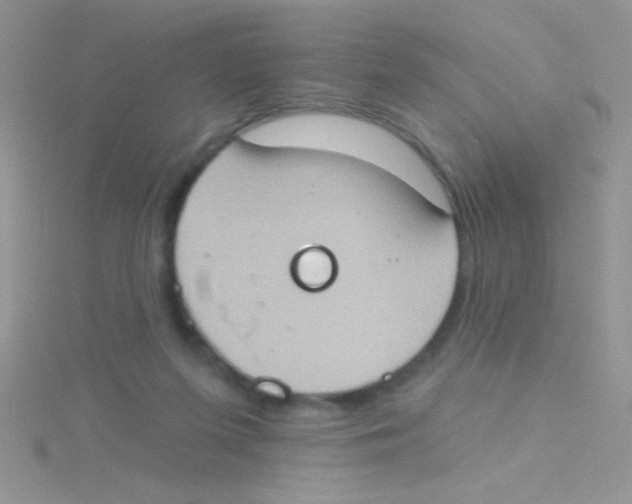 X0000115030215200911231119