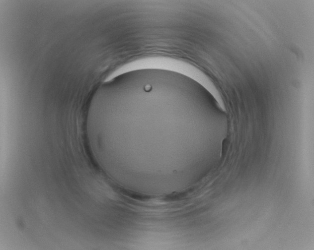 X0000115030219200911231119