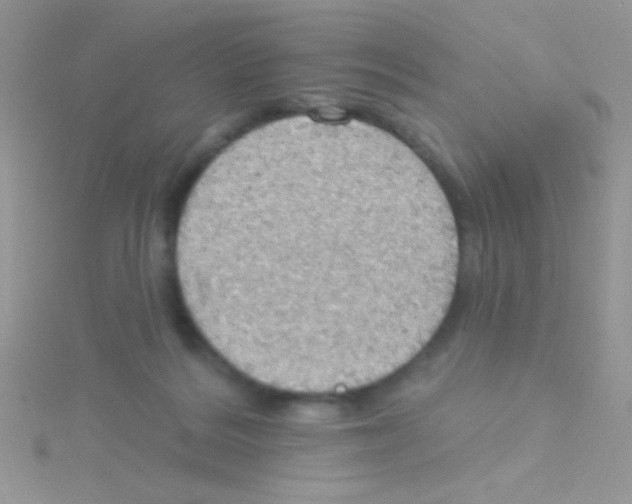 X0000115030220200911231119